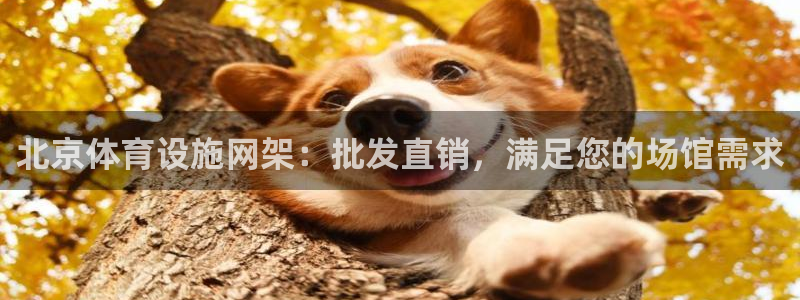 旧版尊龙人生就是博下载