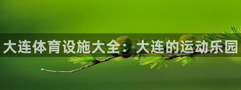 尊龙ag旗舰厅官网登录
