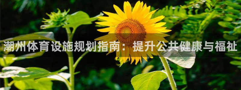 尊龙人生就是博下载