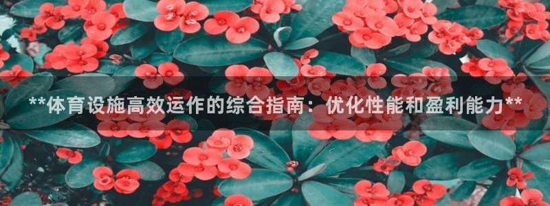 尊龙凯时泰安