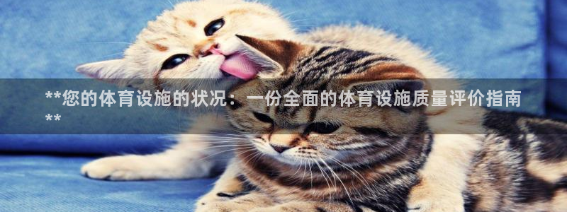 凯时a88