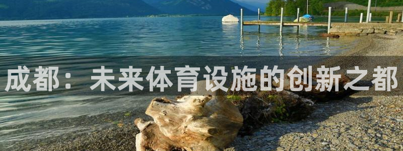 尊龙官网登录·(中国)官方网站-bd SPORTS
