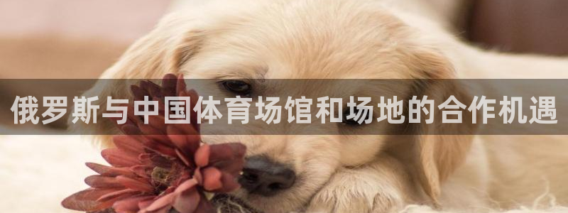 尊龙凯时网站不让提款