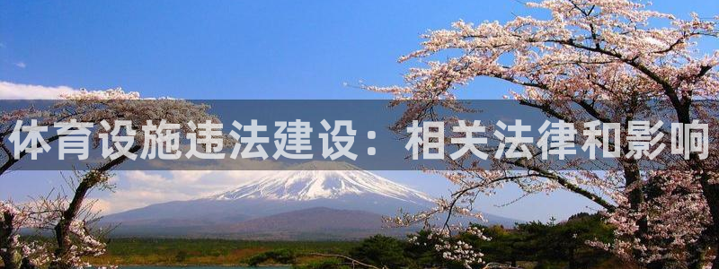 尊龙凯时赢不了