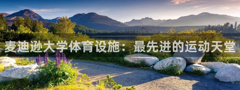 尊龙凯时人生就是博·(中国)官网官