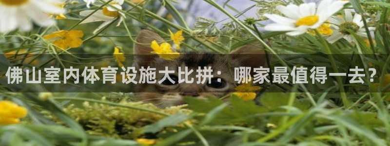尊龙ag旗舰厅手机版