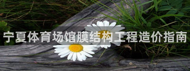d88尊龙手机登录下载