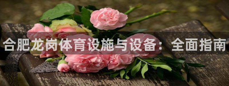 尊龙下载推荐网站