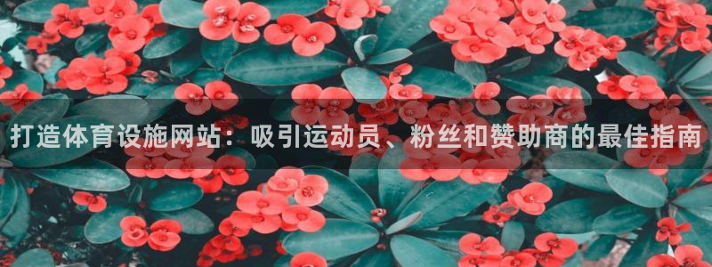 尊龙ag旗舰厅官网登录