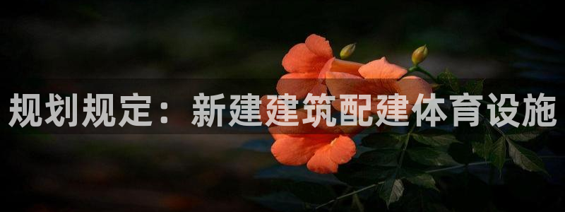 尊龙手机客户端下载APP