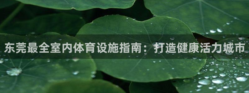 尊龙网址苹果版下载