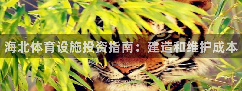 尊龙t500和t300区别