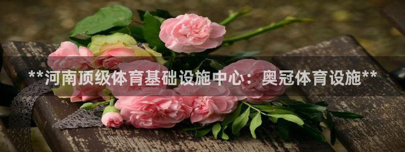 尊龙凯时网站赌愽做假吗