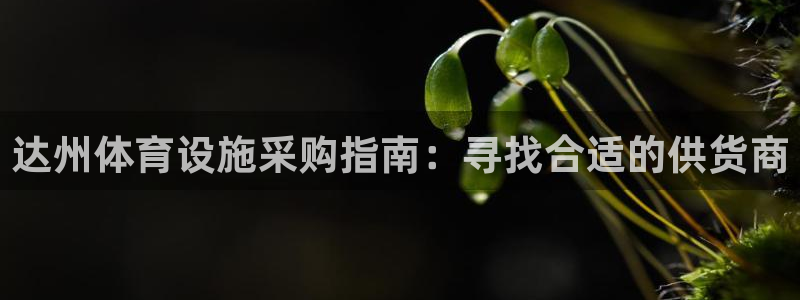 尊龙t500和t300区别