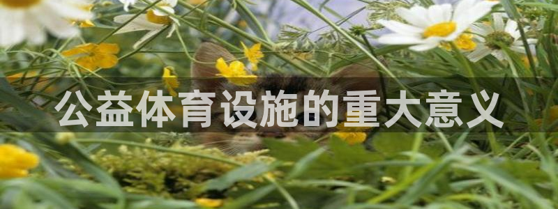 kb88凯时会员登录