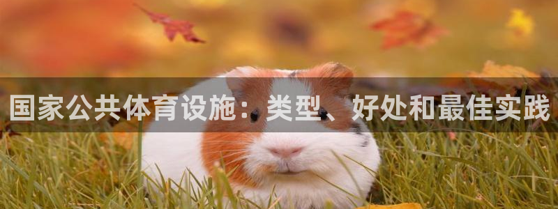尊龙凯时总部在哪里