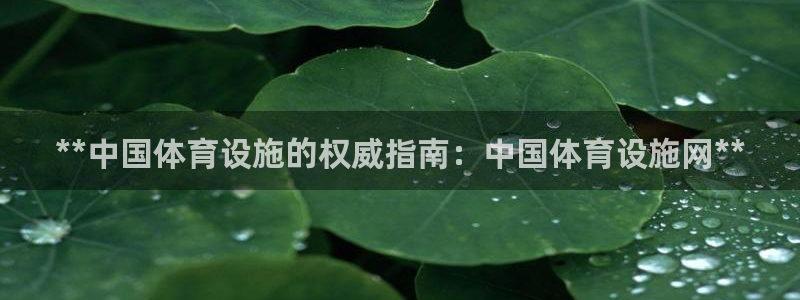 尊龙凯时泰安