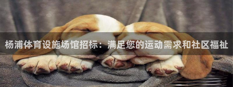 尊龙人生就是博一下下