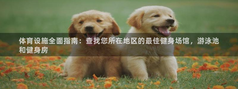 尊龙凯时登陆