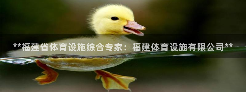 尊龙凯时只输不赢