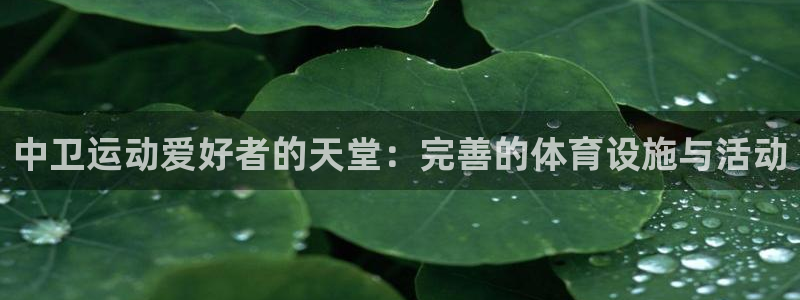 尊龙人生就是博旧版手机可靠送38元