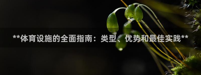 尊龙 下载