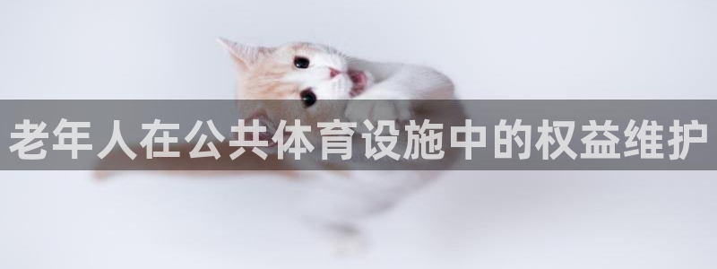 尊龙500价格