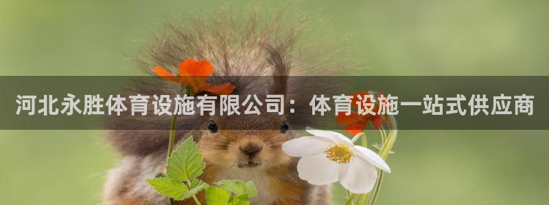 尊龙人生就是博下载