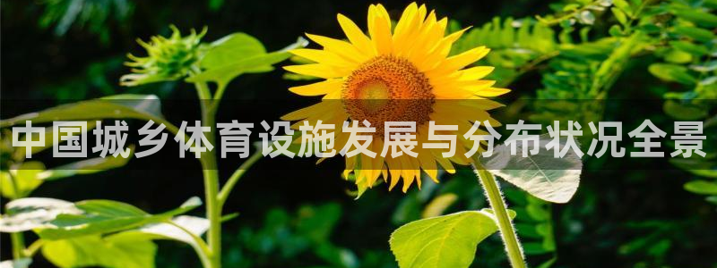 下载凯时AG旗舰厅首页