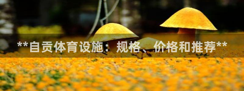 尊龙凯时 人生就是搏!平台