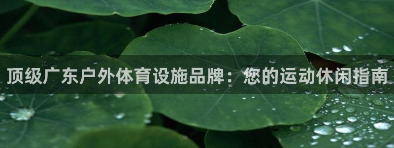 尊龙凯时百家乐手机下载