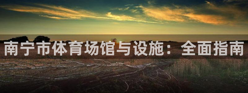 尊龙新版手机app下载