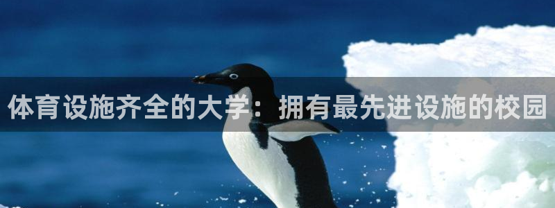 尊龙网址苹果版下载