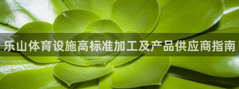 尊龙专访视频