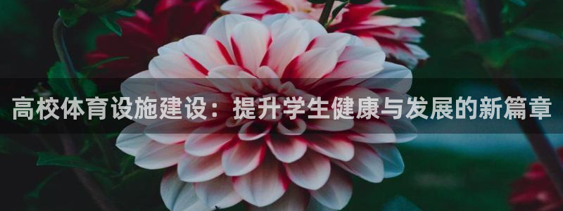 尊龙凯时提款冻卡吗