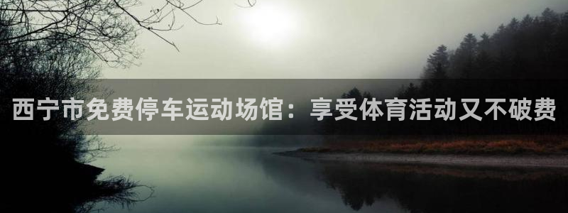 尊龙服饰品牌介绍