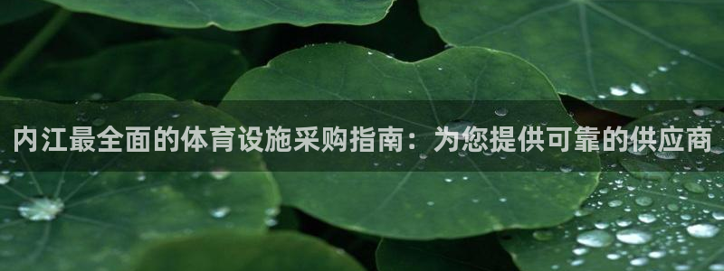 尊龙凯时人生就是搏!官网