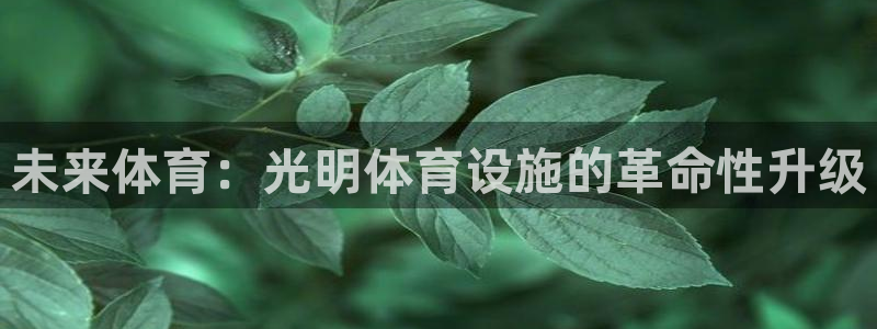 尊龙官网网页版