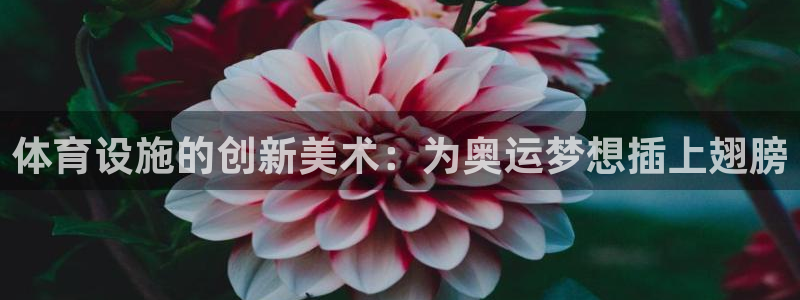 尊龙凯时的最新消息