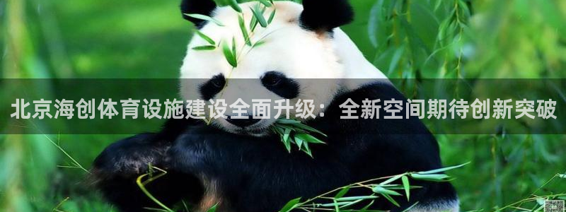 凯时官网手机版下载