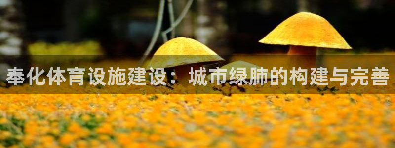 尊龙凯时的企业文化