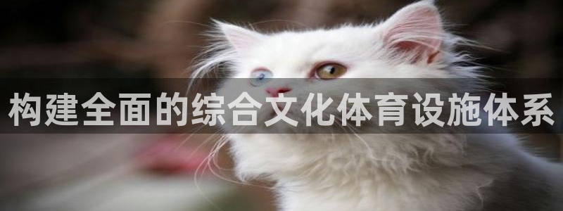 尊龙凯时人生就博官网