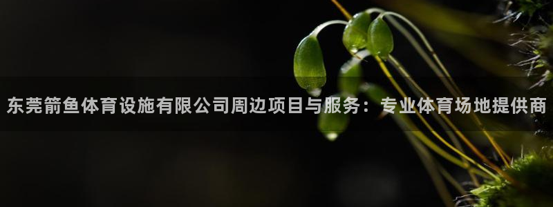 尊龙手机客户端下载
