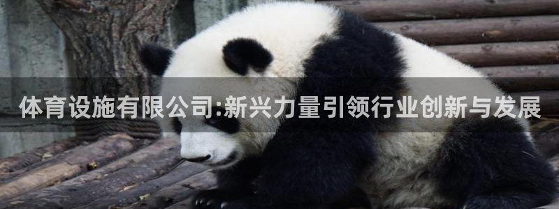 尊龙人生就是博旧版