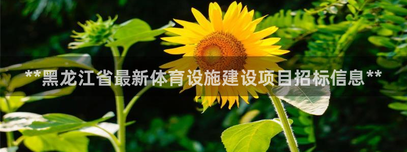 尊龙d88官网确来就送38