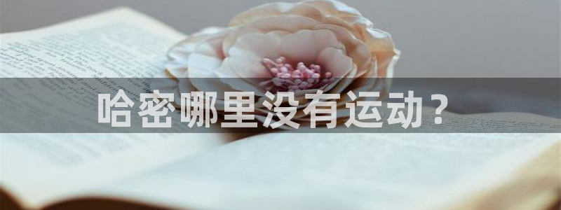 尊龙凯时输钱的原因