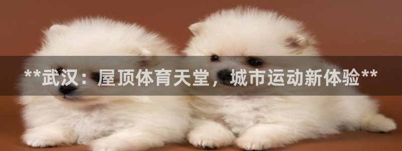 尊龙凯时·中国官方网站