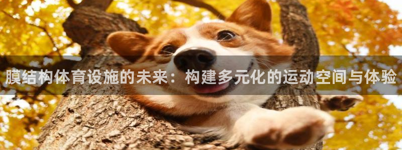 尊龙凯时app产品介绍