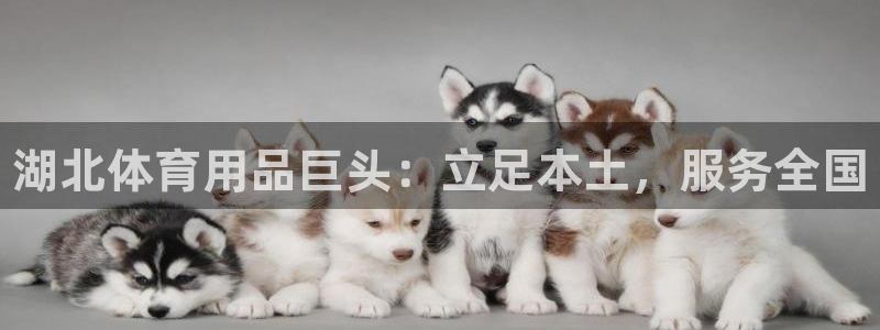 尊龙凯时 人生就是搏客服