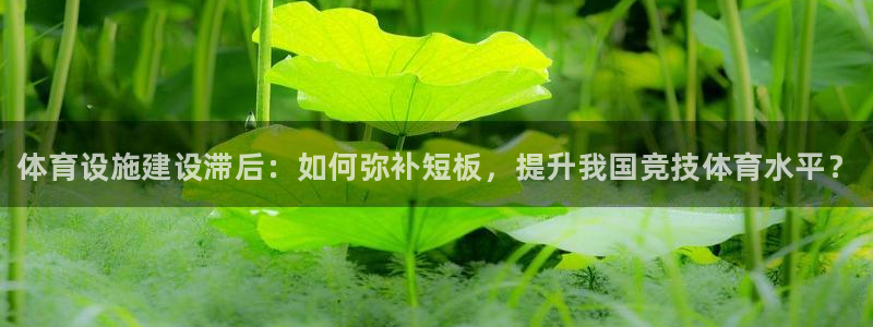 尊龙凯时游戏厅